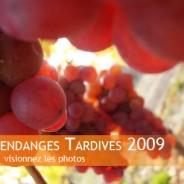 Vendanges tardives 2009