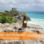 Les vins qui voyagent… au Mexique