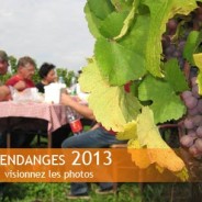 Vendanges 2013