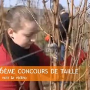 Louise au 36ème concours de taille